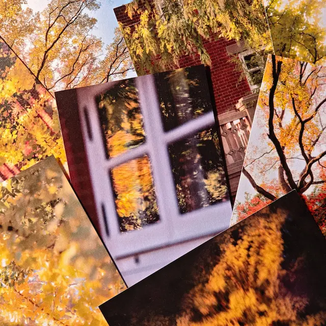 明信片的展示图片(1/5)