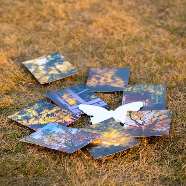 明信片的展示图片(2/5)