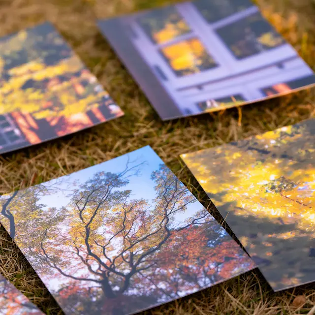 明信片的展示图片(3/5)