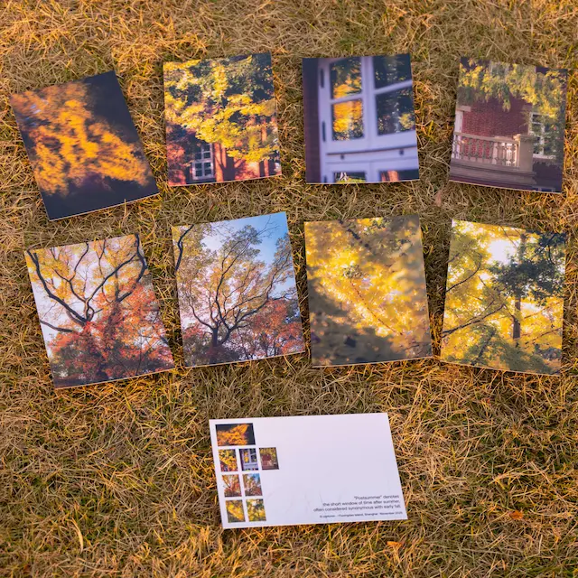 明信片的展示图片(4/5)